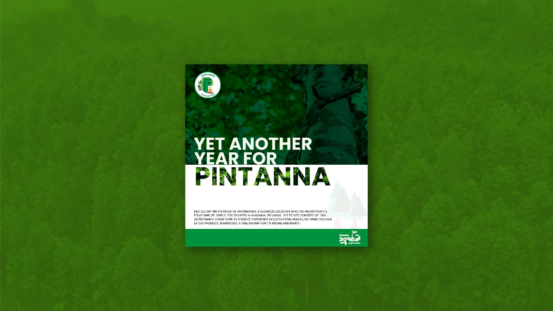 Pintanna-01